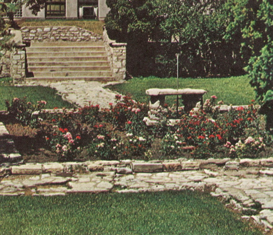 11 Rose garden 1971.
